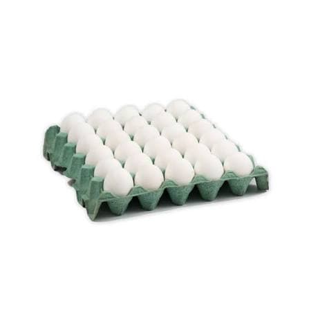 Maple de Huevos Blancos x 30 Unidades